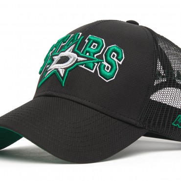 31409 Бейсболка NHL DALLAS STARS чёрн/сер/зелёная, 55-58
